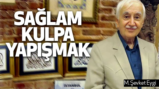 Sağlam Kulpa Yapışmak
