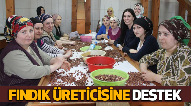 Fındık Üreticisine Destek