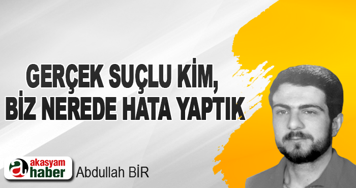 Gerçek Suçlu Kim, Biz Nerede Hata Yaptık