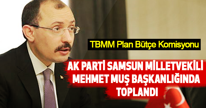 TBMM Plan Bütçe Komisyonu Mehmet Muş Başkanlığında Toplandı