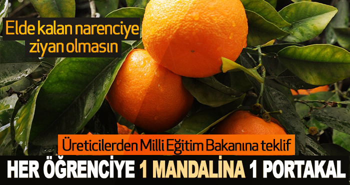 Üreticilerden Milli Eğitim Bakanına teklif  Her Öğrenciye 1 Mandalina 1 Portakal