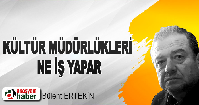 Kültür Müdürlükleri Ne İş Yapar