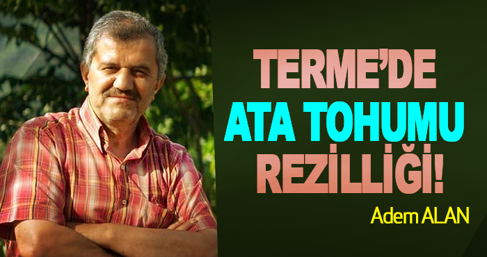 Terme’de ata tohumu rezilliği!