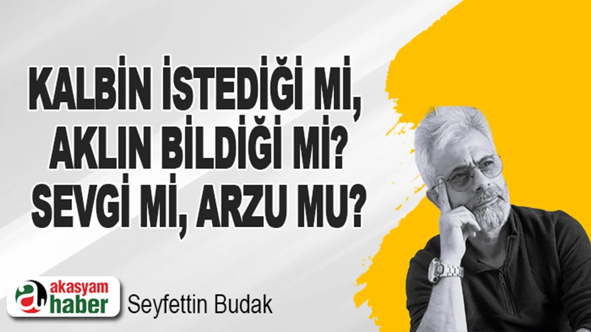 Kalbin istediği mi, aklın bildiği mi? Sevgi mi, arzu mu?