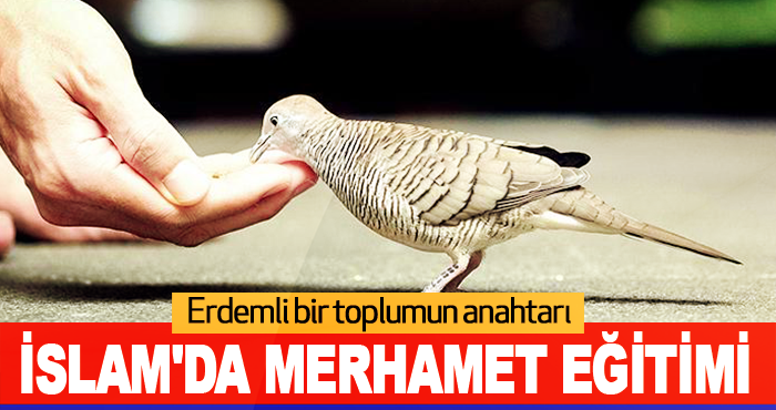 İslam'da Merhamet Eğitimi