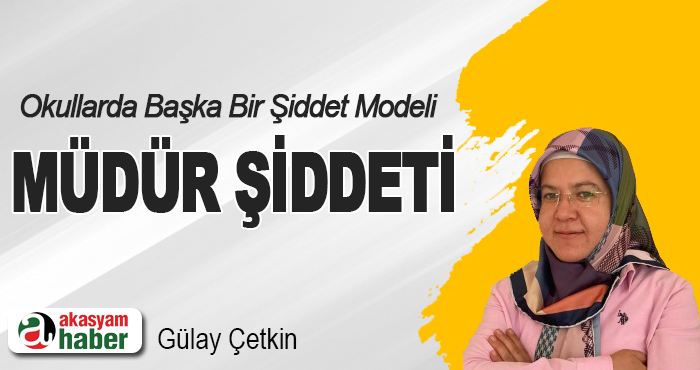 Okullarda Başka Bir Şiddet Modeli