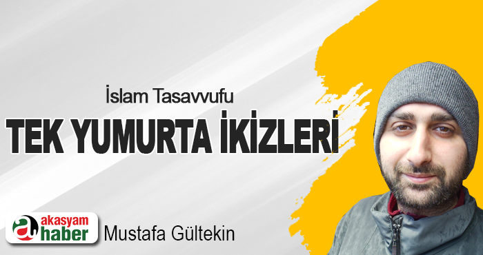 Tek Yumurta İkizleri