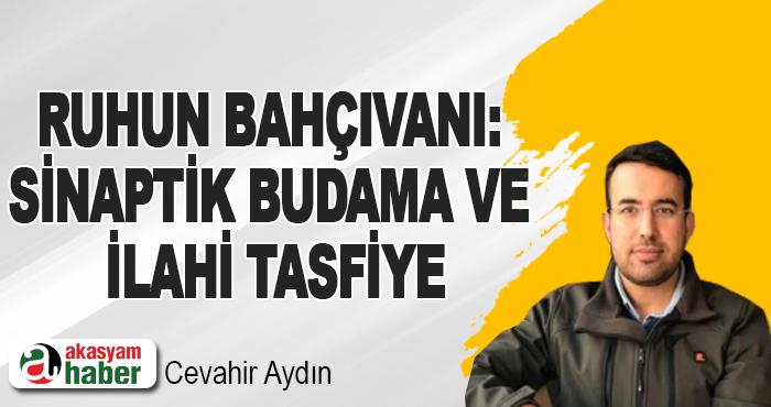 Ruhun Bahçıvanı: Sinaptik Budama ve İlahi Tasfiye