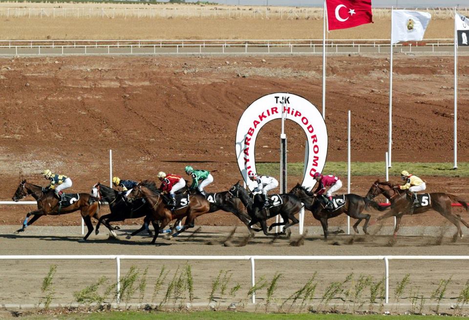 Altılı Ganyan'da Sıkça Yapılan 5 Hata ve Çözümleri
