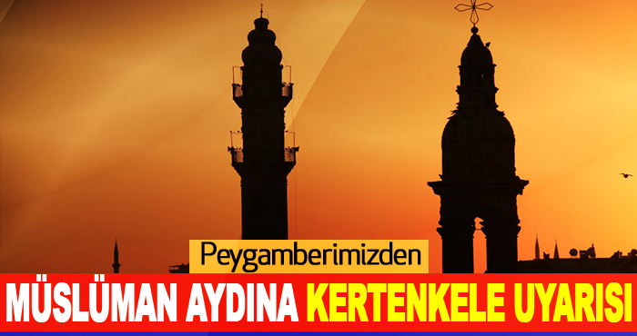 Peygamberimizden Müslüman Aydına Kertenkele Uyarısı