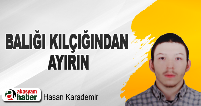 Balığı Kılçığından Ayırın