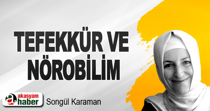 Tefekkür Ve Nörobilim