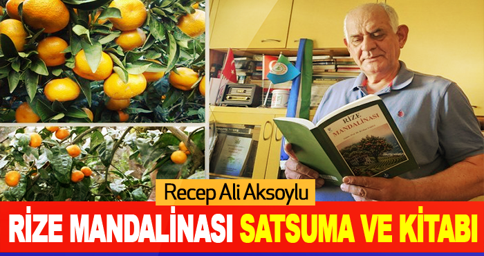 Rize Mandalinası Satsuma ve Kitabı