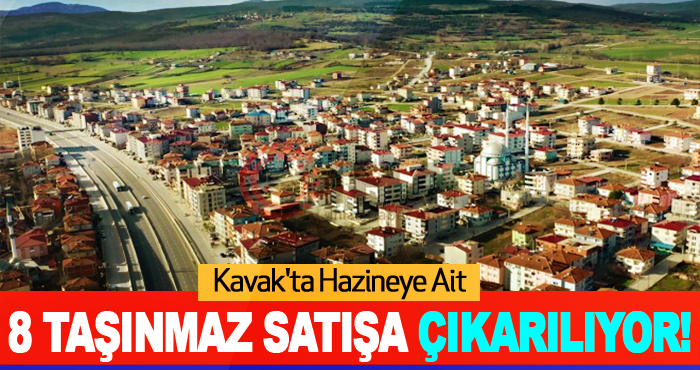 Kavak'ta Hazineye ait 8 taşınmaz satışa çıkarılıyor!