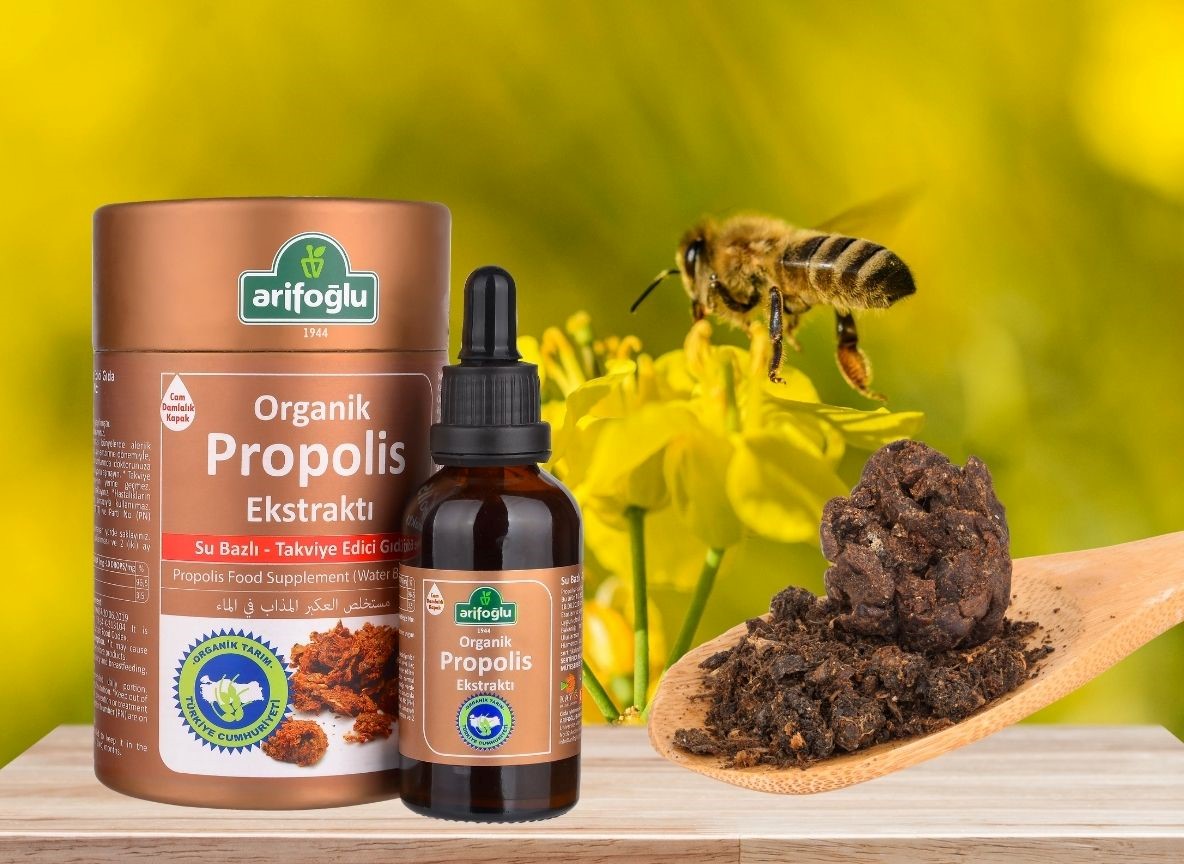 Propolis Faydaları ve Kullanım Alanları Hakkında Bilinmesi Gerekenler