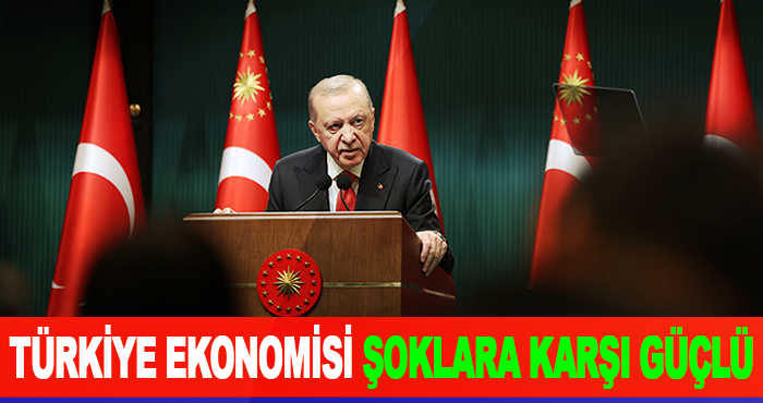 Türkiye Ekonomisi Şoklara Karşı Güçlü