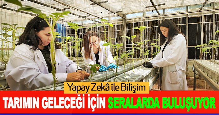 Yapay Zekâ ile Bilişim Tarımın Geleceği İçin Seralarda Buluşuyor