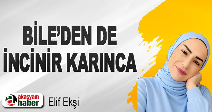 Bile’den de İncinir Karınca