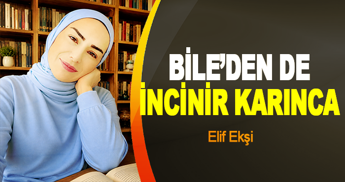 Bile’den de İncinir Karınca