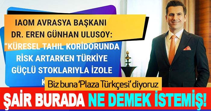 Şair Burada Ne Demek İstemiş!