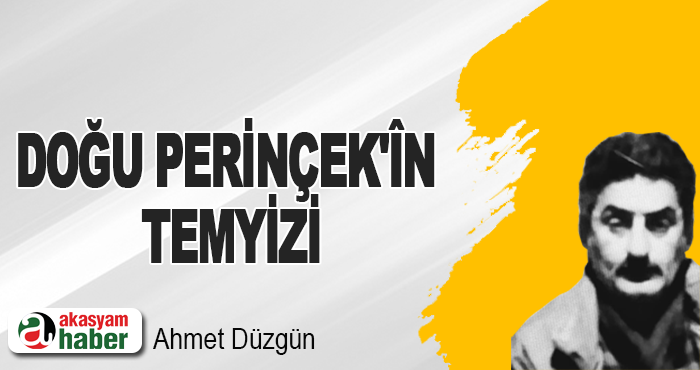 Doğu Perinçek'în Temyizi