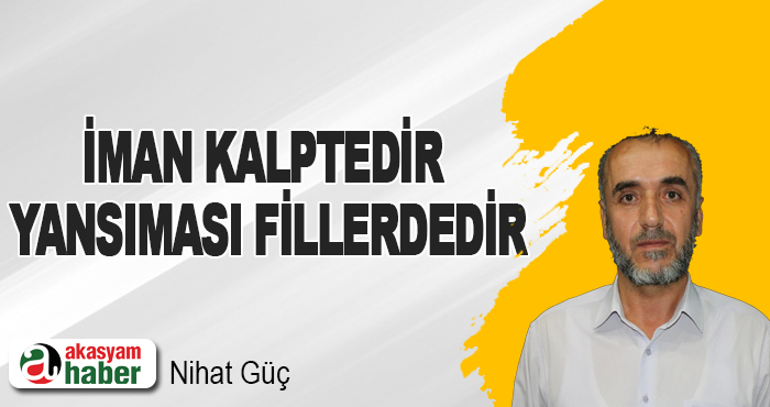 İman Kalptedir Yansıması Fillerdedir