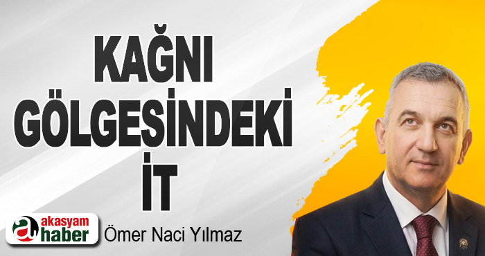 Kağnı Gölgesindeki İt