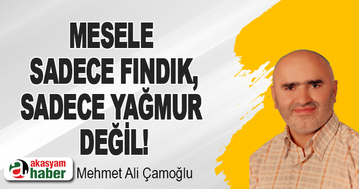 Mesele sadece fındık, sadece yağmur değil!