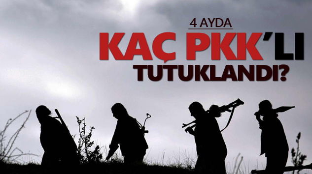 4 Ayda Kaç PKK’lı Tutuklandı?
