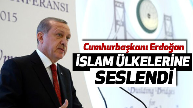 Erdoğan, İslam Ülkelerine Seslendi