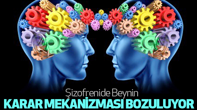 Şizofrenide Beynin Karar Mekanizması...