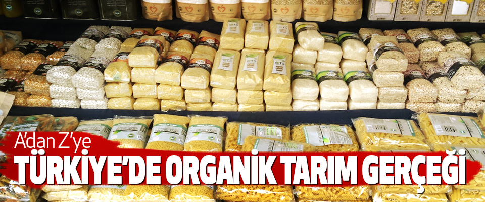 A’dan Z’ye Türkiye’de Organik Tarım Gerçeği