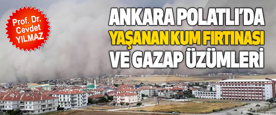 Ankara Polatlı’da Yaşanan Kum Fırtınası  Ve Gazap Üzümleri