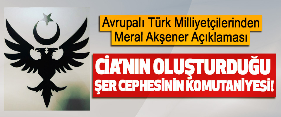 Avrupalı Türk Milliyetçilerinden Meral Akşener Açıklaması