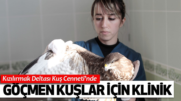 Kızılırmak Deltası Kuş Cenneti’ndeGöçmen Kuşlar İçin Klinik