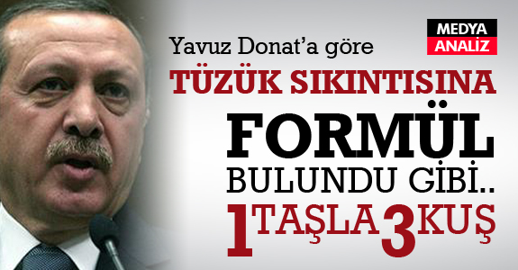 Yavuz Donat: Erdoğan 1 taşla 3 kuş vuracak
