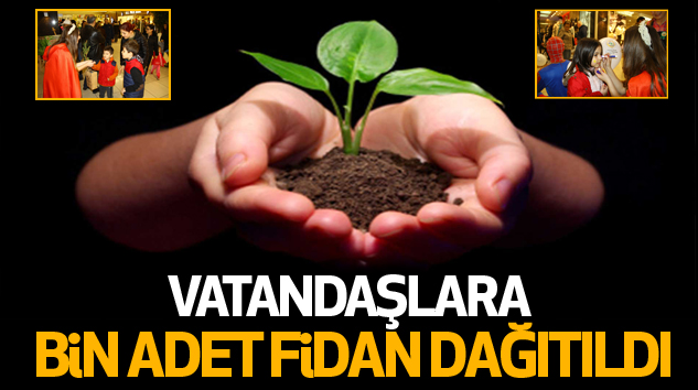 Vatandaşlara Bin Adet Fidan Dağıtıldı