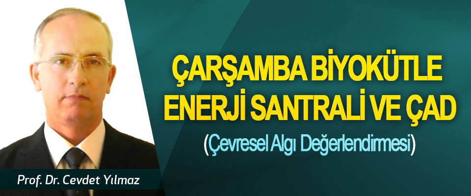 Çarşamba biyokütle enerji santrali ve ÇAD  (çevresel algı değerlendirmesi)