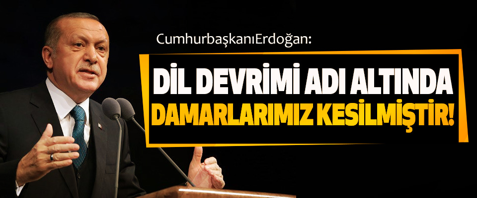Cumhurbaşkanı Erdoğan: Dil devrimi adı altında damarlarımız kesilmiştir!
