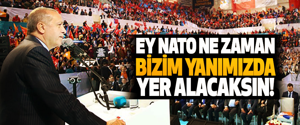 Cumhurbaşkanı Erdoğan: Ey NATO ne zaman bizim yanımızda yer alacaksın!