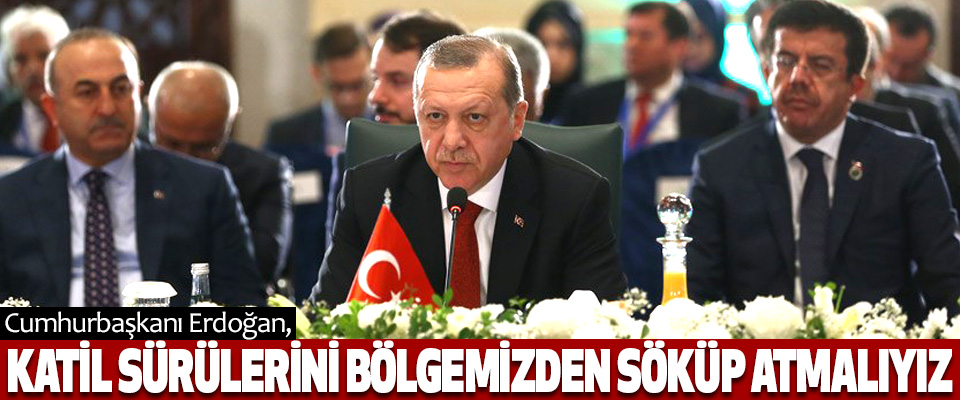 Cumhurbaşkanı Erdoğan, Katil Sürülerini Bölgemizden Söküp Atmalıyız