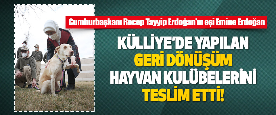 Cumhurbaşkanı Recep Tayyip Erdoğan'ın eşi Emine Erdoğan Hayvan Kulübelerini Teslim Etti!