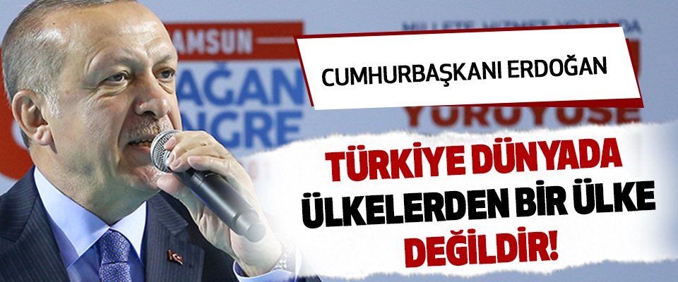 Cumhurbaşkanı Erdoğan :Türkiye dünyada ülkelerden bir ülke değildir!