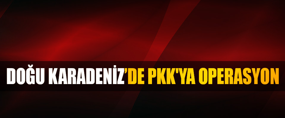 Doğu Karadeniz’de PKK'ya Operasyon
