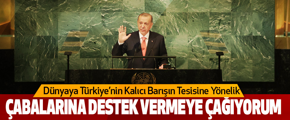 Dünyaya Türkiye’nin Kalıcı Barışın Tesisine Yönelik Çabalarına Destek Vermeye Çağıyorum