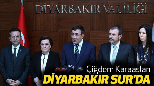 Samsun Milletvekili Çiğdem Karaaslan Diyarbakır Sur'da