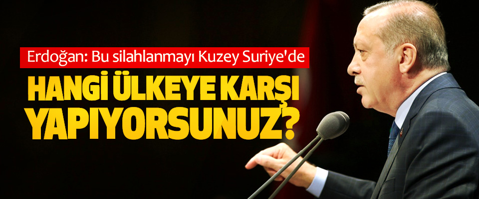 Erdoğan: Bu silahlanmayı Kuzey Suriye'de hangi ülkeye karşı yapıyorsunuz?