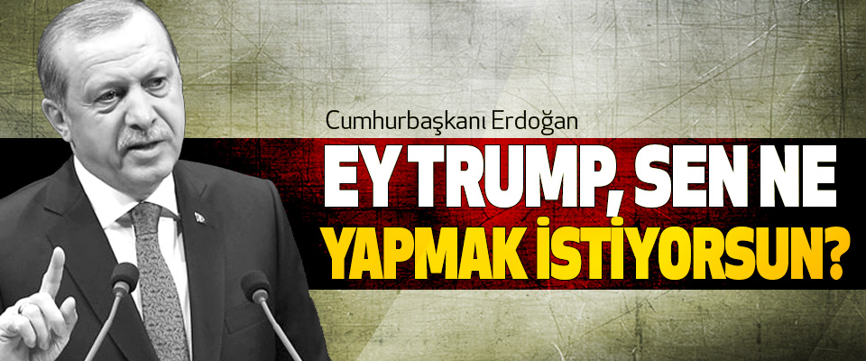 Erdoğan: Ey Trump, Sen Ne Yapmak İstiyorsun?
