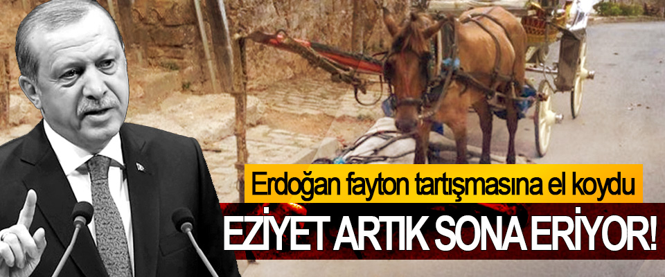 Erdoğan fayton tartışmasına el koydu, Eziyet artık sona eriyor!