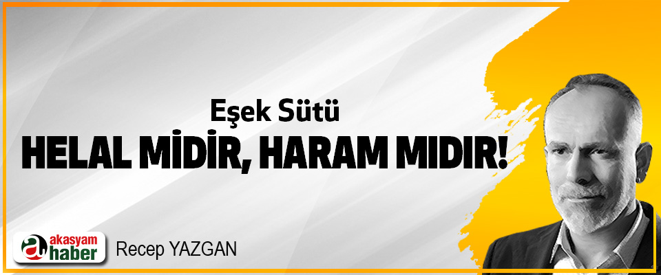 Eşek Sütü Helal midir, Haram mıdır!